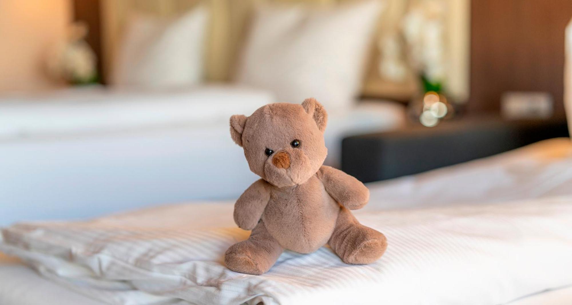 Plaza Hotel Foehr Am Bodensee FDH Cameră foto